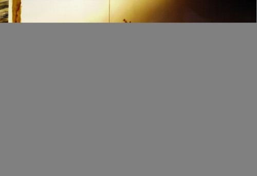 15.09.2009 bild5.resized.jpg